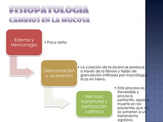 Edema y
Hemorragia

• Poco daño

Descamación
y ulceración

• La curación de la úlcera se produce
a través de la fibrosis y tejido de
granulación infiltrada por macrófagos
ricos en hierro.

Necrosis
transmural y
perforación
colónica

• Este proceso es
irreversible y
provoca
peritonitis, sepsis y
muerte en los
pacientes que no
se someten a un
tratamiento
agresivo.

 