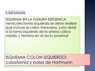 ISQUEMIA EN LA FLEXURA ESPLENICA:
hemicolectomía izquierda se debe realizar
que incluye el colon transverso, justo distal
a la rama izquierda de la arteria cólica
media, y termina en el recto proximal

ISQUEMIA COLON IZQUIERDO:
colostomía y bolsa de Hartmann

 