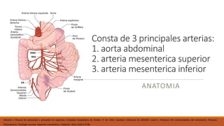 ISQUEMIA MESENTERICA EN PACIENTES ADULTOSEWLKRLWEKLKWLEKR.pptx
