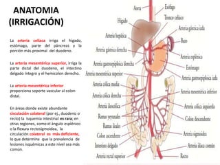 Isquemia mesenterica | PDF