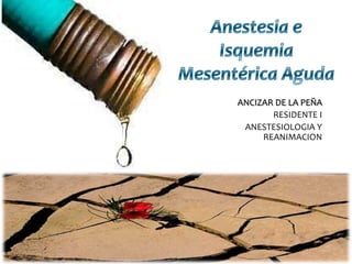 Anestesia eIsquemia Mesentérica Aguda ANCIZAR DE LA PEÑA RESIDENTE I  ANESTESIOLOGIA Y REANIMACION 