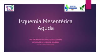 Isquemia Mesentérica
Aguda
DR. ORLANDO WILSON AGUILAR QUISPE
RESIDENTE DE CIRUGÍA GENERAL
HOSITAL ROBERTO GALINDO TERAN
 