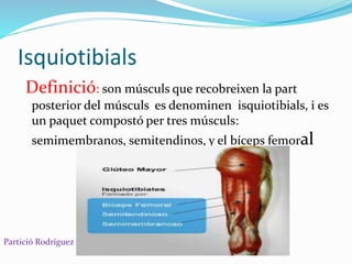 Isquiotibials
Definició: son músculs que recobreixen la part
posterior del músculs es denominen isquiotibials, i es
un paquet compostó per tres músculs:
semimembranos, semitendinos, y el bíceps femoral
Partició Rodríguez
 