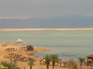 DEAD SEA

 