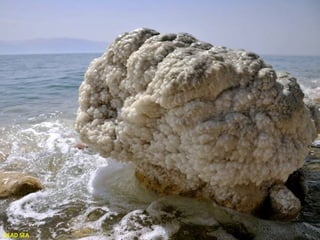 DEAD SEA

 