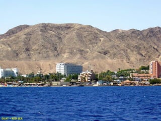 EILAT – RED SEA

 