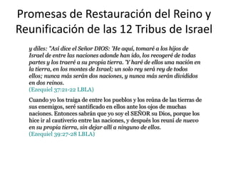 Promesas de Restauración del Reino y
Reunificación de las 12 Tribus de Israel
  y diles: "Así dice el Señor DIOS: 'He aquí, tomaré a los hijos de
  Israel de entre las naciones adonde han ido, los recogeré de todas
  partes y los traeré a su propia tierra. 'Y haré de ellos una nación en
  la tierra, en los montes de Israel; un solo rey será rey de todos ellos;
  nunca más serán dos naciones, y nunca más serán divididos en dos
  reinos.
  (Ezequiel 37:21-22 LBLA)
  Cuando yo los traiga de entre los pueblos y los reúna de las tierras de
  sus enemigos, seré santificado en ellos ante los ojos de muchas
  naciones. Entonces sabrán que yo soy el SEÑOR su Dios, porque los
  hice ir al cautiverio entre las naciones, y después los reuní de nuevo
  en su propia tierra, sin dejar allí a ninguno de ellos.
  (Ezequiel 39:27-28 LBLA)
 