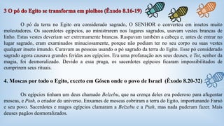 O pó da terra no Egito era considerado sagrado, O SENHOR o converteu em insetos muito 
molestadores. Os sacerdotes egípcios, ao ministrarem nos lugares sagrados, usavam vestes brancas de 
linho. Estas vestes deveriam ser extremamente brancas. Raspavam também a cabeça e, antes de entrar no 
lugar sagrado, eram examinados minuciosamente, porque não podiam ter no seu corpo ou suas vestes 
qualquer inseto imundo. Curavam as pessoas usando o pó sagrado da terra do Egito. Esse pó considerado 
sagrado agora causava grandes feridas aos egípcios. Era uma profanação aos seus deuses, e Tot, senhor da 
magia, foi desmoralizado. Devido a essa praga, os sacerdotes egípcios ficaram impossibilitados de 
cumprirem seus rituais. 
4. Moscas por todo o Egito, exceto em Gósen onde o povo de Israel (Êxodo 8.20-32) 
Os egípcios tinham um deus chamado Belzebu, que na crença deles era poderoso para afugentar 
moscas, e Ptah, o criador do universo. Enxames de moscas cobriram a terra do Egito, importunando Faraó 
e seu povo. Sacerdotes e magos egípcios clamaram a Belzebu e a Ptah, mas nada puderam fazer. Mais 
deuses pagãos desmoralizados. 
 