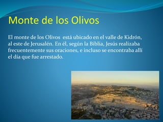 Monte de los Olivos 
El monte de los Olivos está ubicado en el valle de Kidrón, 
al este de Jerusalén. En él, según la Biblia, Jesús realizaba 
frecuentemente sus oraciones, e incluso se encontraba allí 
el día que fue arrestado. 
 