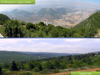 Ari Mountain in Upper Galilee
Judaen Hills
 