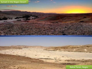 Sunset in the Negev Desert
Nahal Paran, Negev
 