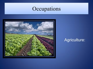 Occupations
Agriculture:
 