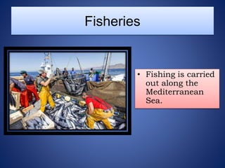 Fisheries
• Fishing is carried
out along the
Mediterranean
Sea.
 