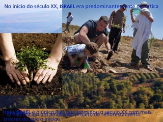 O País iniciou um ambicioso projeto de reflorestamentoHoje ISRAEL é o único País que terminou o século XX com mais
árvores do que o iniciou
No início do século XX, ISRAEL era predominantemente desértica
 