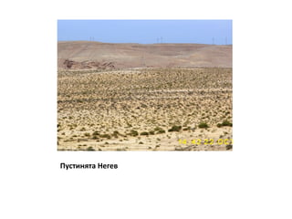 Пустинята Негев 
 