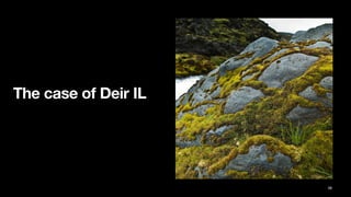 The case of Deir IL
58
 