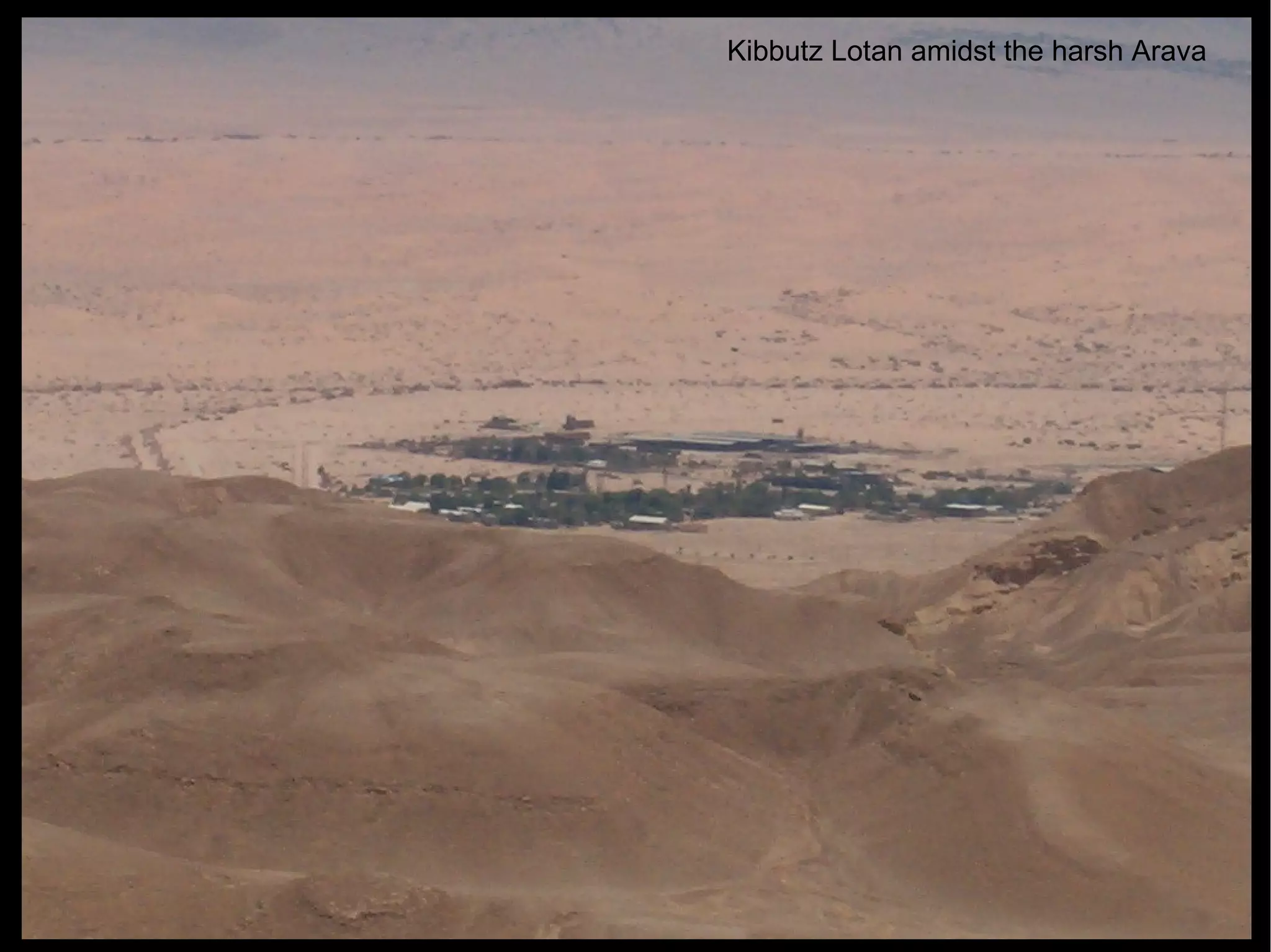Kibbutz Lotan amidst the harsh Arava 