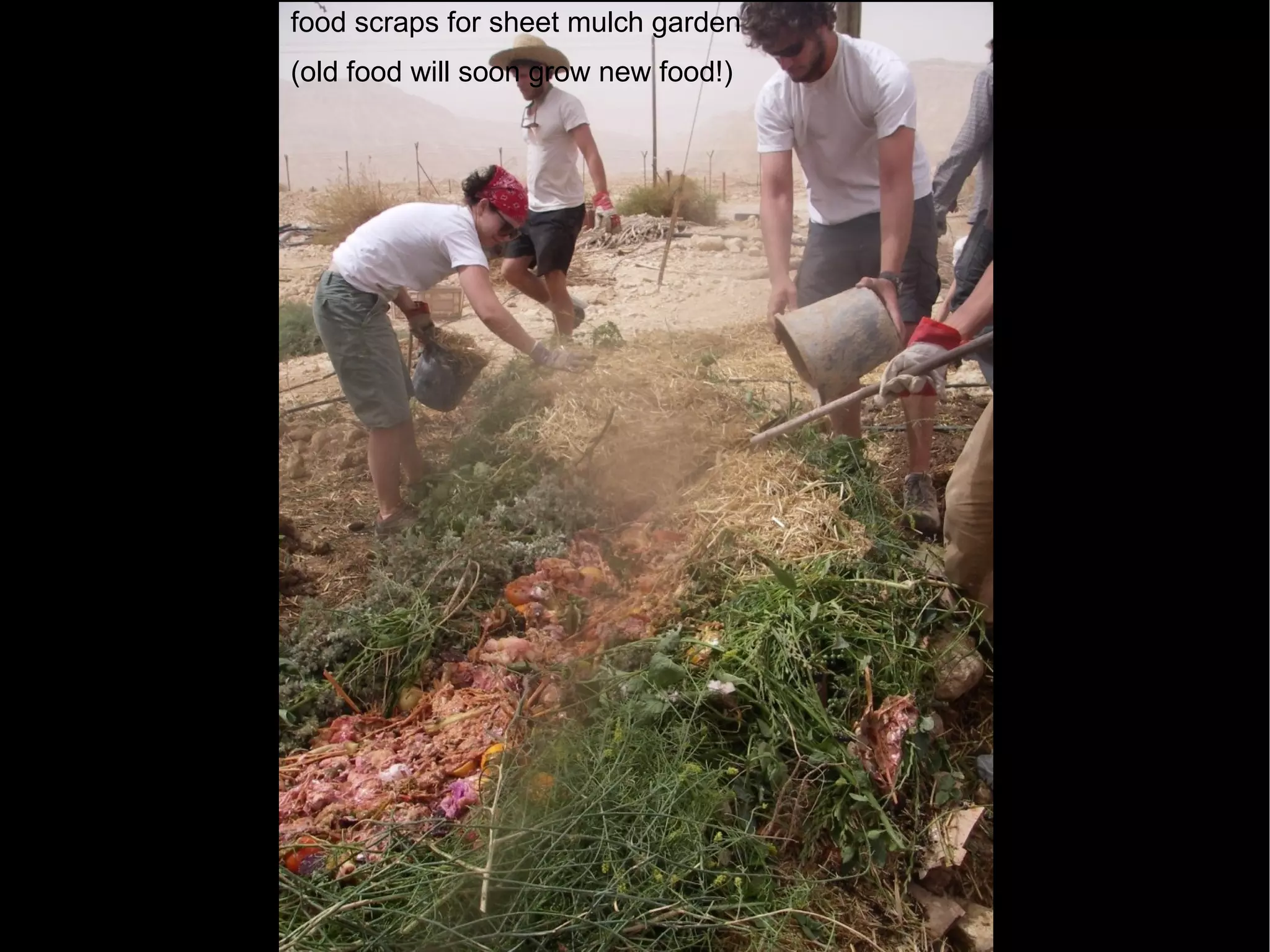 food scraps for sheet mulch garden (old food will soon grow new food!)‏ 
