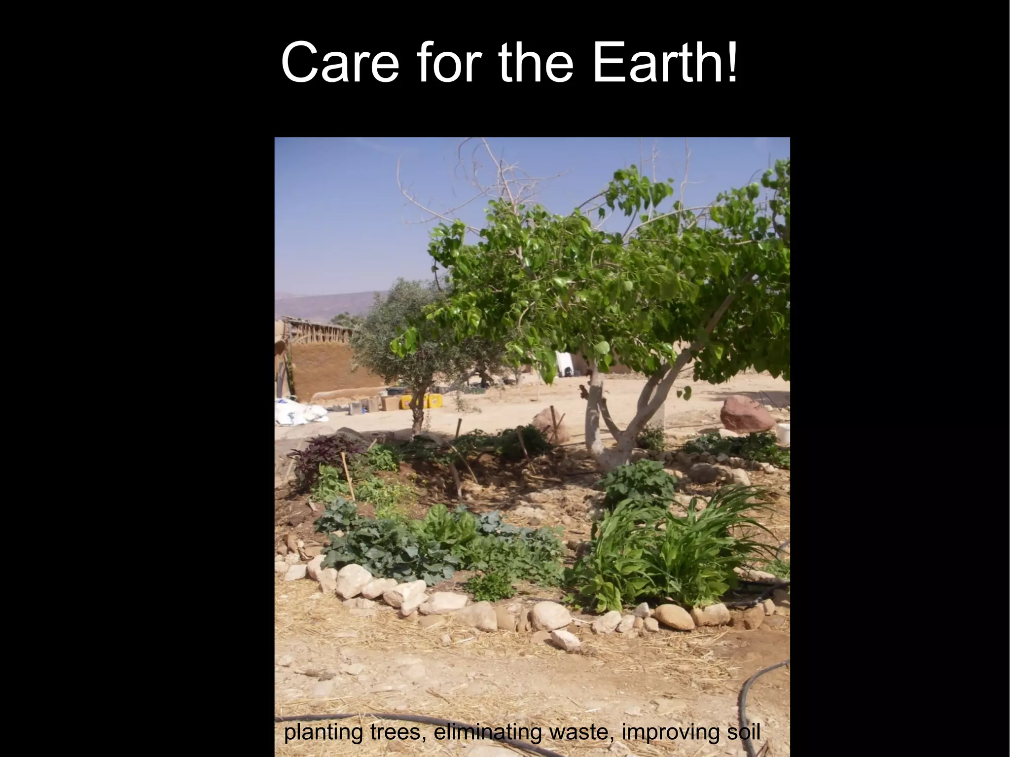 Care for the Earth! planting trees, eliminating waste, improving soil 