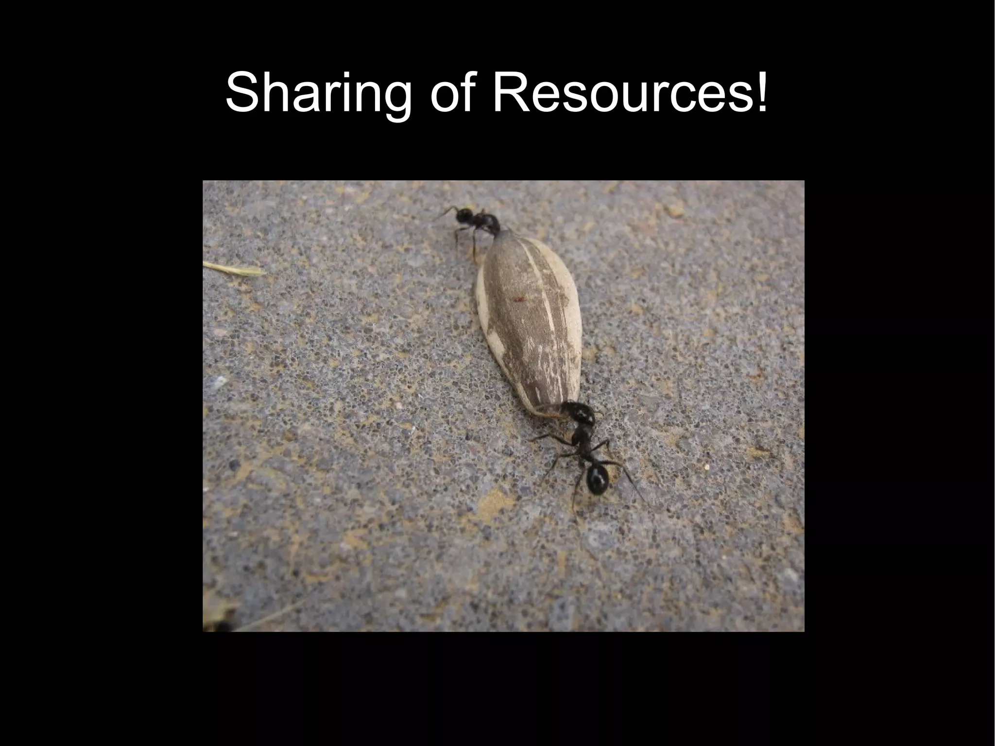 Sharing of Resources! 