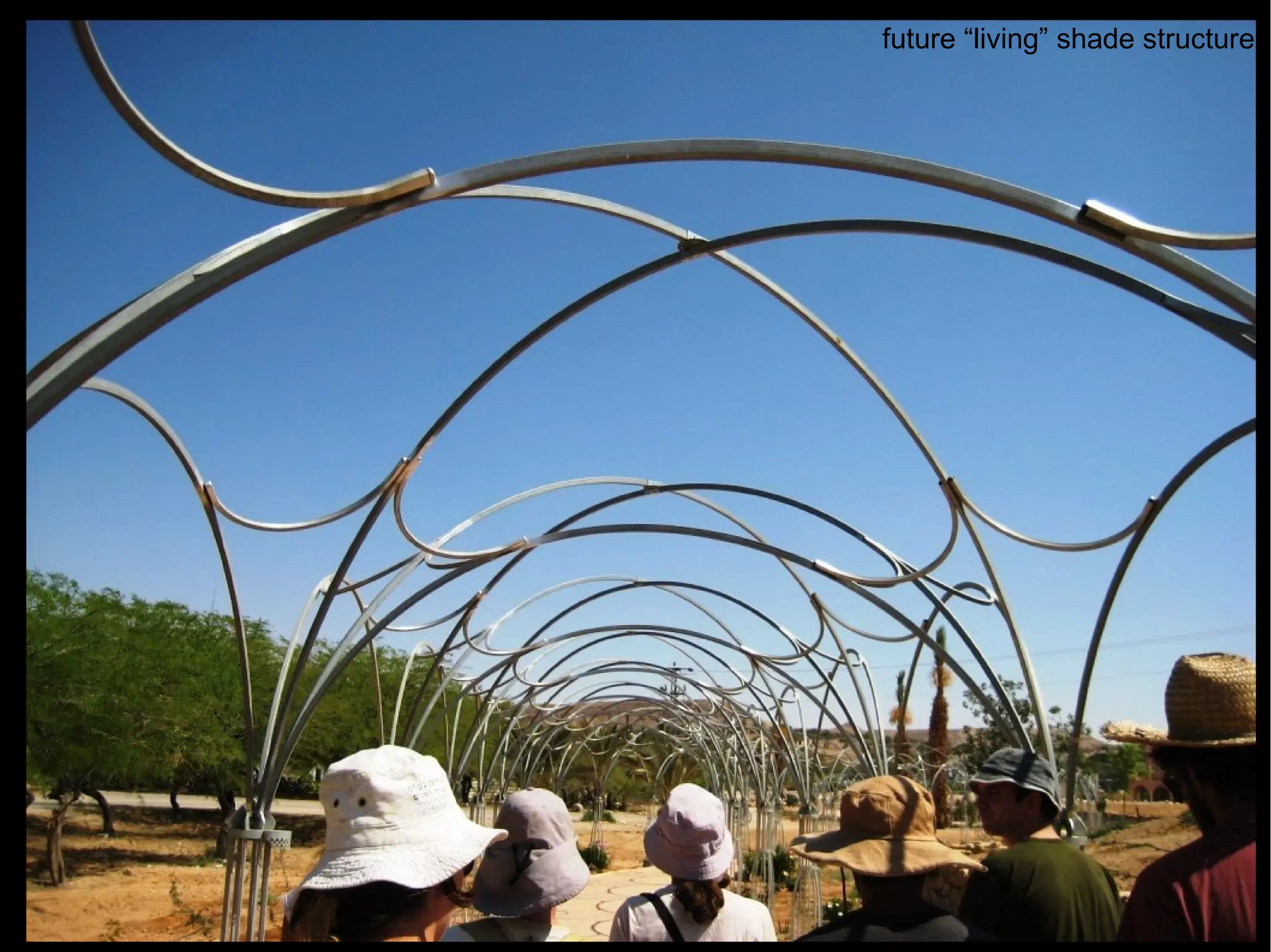 future “living” shade structure 