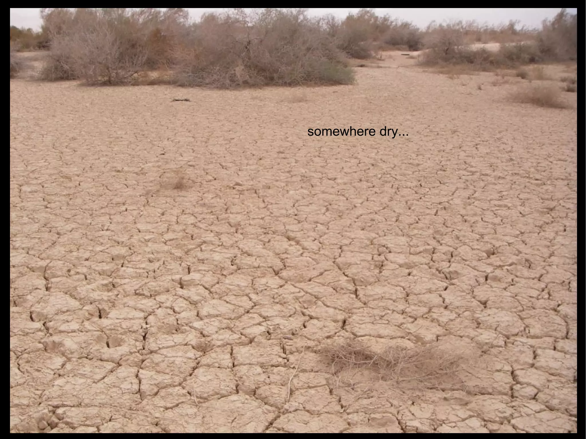 somewhere dry... 