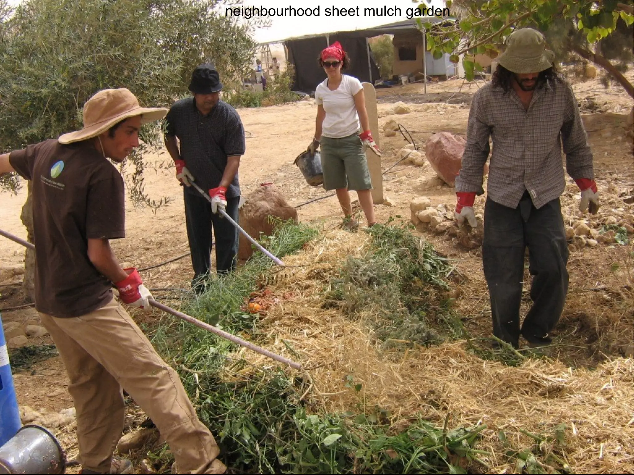 neighbourhood sheet mulch garden 