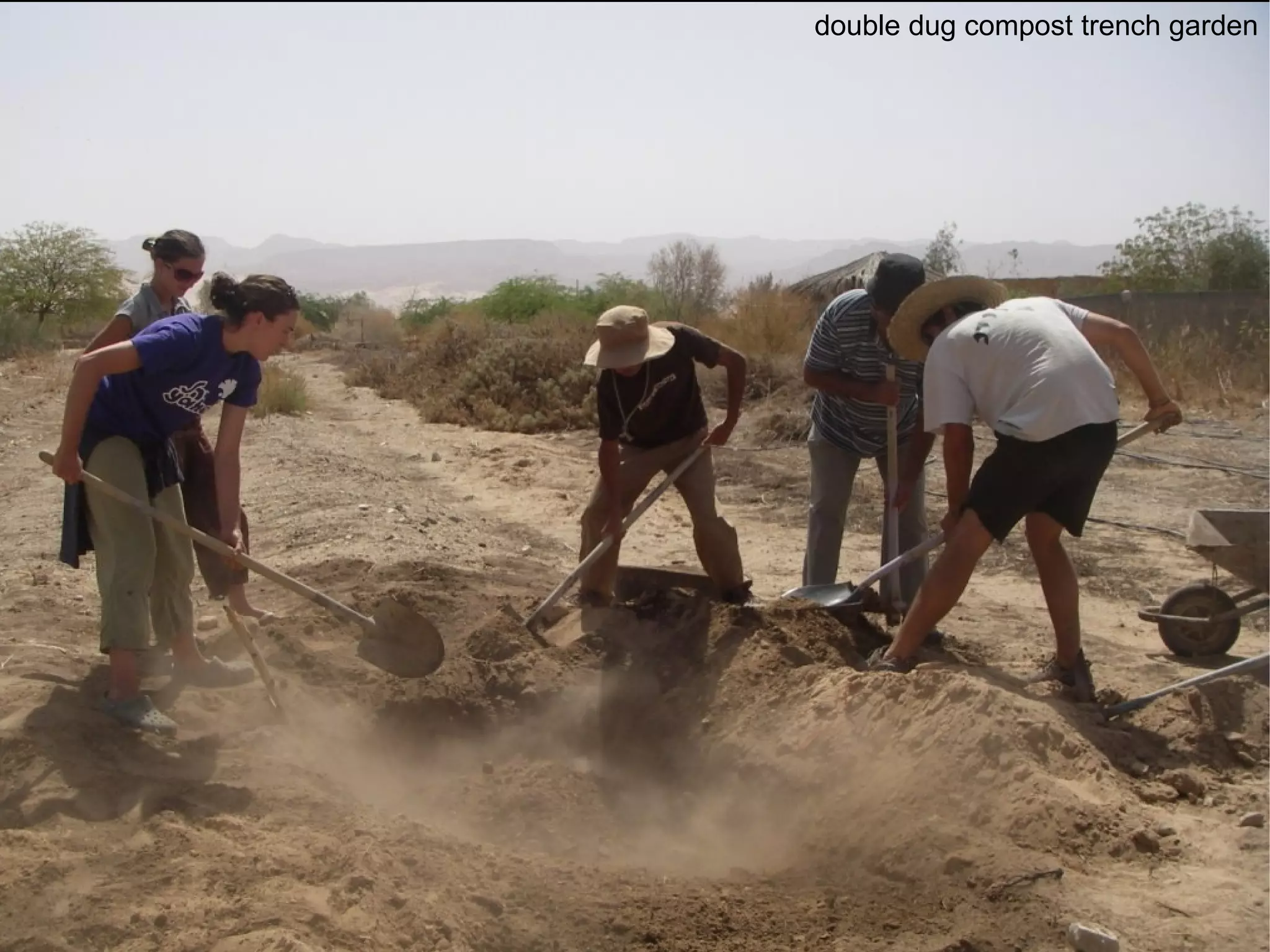 double dug compost trench garden 