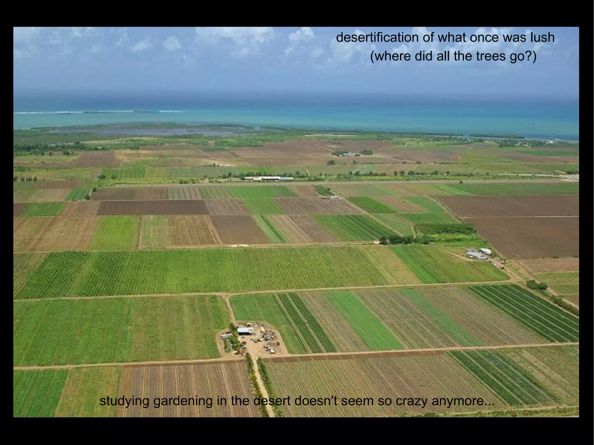 desertification of what once was lush (where did all the trees go?)‏ studying gardening in the desert doesn't seem so crazy anymore... 