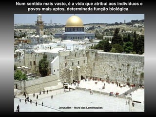 Jerusalém – Muro das Lamentações Num sentido mais vasto, é a vida que atribui aos indivíduos e povos mais aptos, determinada função biológica.  