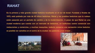 RAHAT
Es la primera y más grande ciudad beduina localizada en el sur de Israel. Fundada a finales de
1970, está poblada por más de 45 tribus beduinas. Rahat y los pueblos beduinos que la rodean
están pasando por un período de cambio y de la modernización. A pesar de que Rahat es una
ciudad moderna que cuenta con un mercado de beduinos, un bullicioso centro comercial con
restaurantes y comercios, y muchas mezquitas, todavía conserva una sensación única beduina:
es posible ver camellos en el centro de la ciudad, los pastores y sus ovejas ...
 