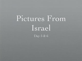 Pictures From
    Israel
    Day 5 & 6
 