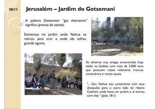 Jerusalém – Jardim do Getsemani
A palavra Getsemani “gat shemanim”
significa (prensa de azeite).
Estivemos no jardim onde Yeshua se
retirou para orar e onde ele sofreu
grande agonia.
As oliveiras mas antigas encontradas hoje
estão na Galileia com mais de 3.000 anos
que possuem raízes milenares, troncos
centenários e ramos atuais.
"... Saiu Yeshua saiu juntamente com seus
discípulos para o outro lado do ribeiro
Cedrom, onde havia um jardim; e aí entrou
com eles." (João 18:1)
28/11
 