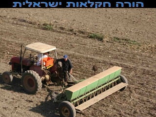 Israel agricultura   Fotos
