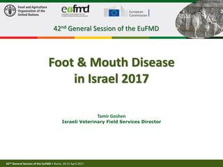 42nd General Session of the EuFMD • Rome, 20-21 April 2017
1
Foot & Mouth Disease
in Israel 2017
Tamir Goshen
Israeli Veterinary Field Services Director
42nd General Session of the EuFMD
 