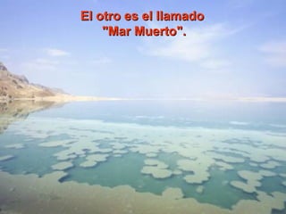 El otro es el llamadoEl otro es el llamado
"Mar Muerto"."Mar Muerto".
 
