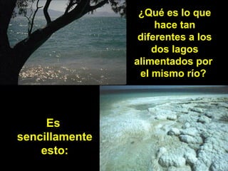 ¿Qué es lo que¿Qué es lo que
hace tanhace tan
diferentes a losdiferentes a los
dos lagosdos lagos
alimentados poralimentados por
el mismo río?el mismo río?
EsEs
sencillamentesencillamente
esto:esto:
 