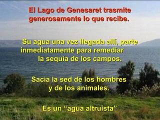 El Lago de Genesaret trasmiteEl Lago de Genesaret trasmite
generosamente lo que recibe.generosamente lo que recibe.
Su agua una vez llegada allí, parteSu agua una vez llegada allí, parte
inmediatamente para remediarinmediatamente para remediar
la sequía de los campos.la sequía de los campos.
Sacia la sed de los hombresSacia la sed de los hombres
y de los animales.y de los animales.
Es un “agua altruista”Es un “agua altruista”
 
