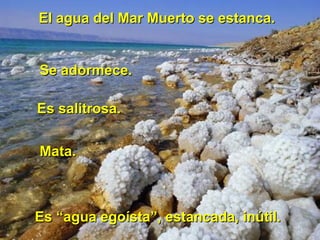El agua del Mar Muerto se estanca.El agua del Mar Muerto se estanca.
Se adormece.Se adormece.
Es salitrosa.Es salitrosa.
Mata.Mata.
Es “agua egoísta”, estancada, inútil.Es “agua egoísta”, estancada, inútil.
 