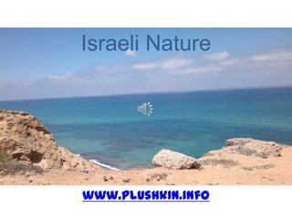 Israeli Nature




www.plushkin.info
 