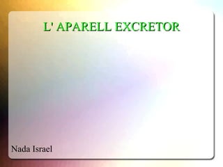 L' APARELL EXCRETOR




Nada Israel
 