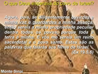 Monte Sinai O que Deus esperava do povo de Israel? Agora, pois, se diligentemente  ouvirdes a minha voz e guardardes a minha aliança , então sereis a minha propriedade peculiar dentre todos os povos, porque toda a terra é minha. E vós me sereis um reino sacerdotal e o povo santo. Estas são as palavras que falarás aos filhos de Israel. (Ex 19.5,6) 