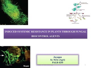 welcome
INDUCED SYSTEMIC RESISTANCE IN PLANTS THROUGH FUNGAL
BIOCONTROLAGENTS
Jayappa
Sr. M.Sc (Agri)
PALB 4255
11/9/2016 Dept. of Plant Pathology 1
 