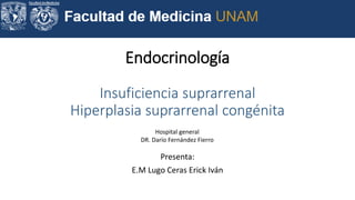 Endocrinología
Insuficiencia suprarrenal
Hiperplasia suprarrenal congénita
Presenta:
E.M Lugo Ceras Erick Iván
Hospital general
DR. Darío Fernández Fierro
 