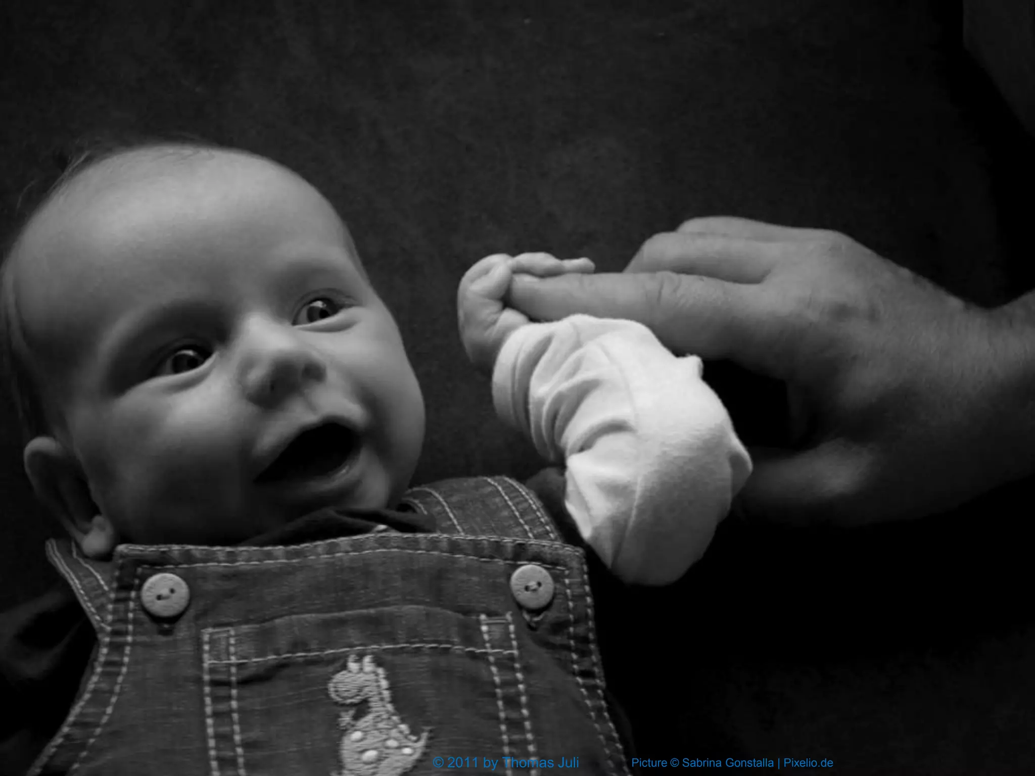 © 2011 by by Thomas Juli
  © 2011 Thomas Juli       Picture © Sabrina Gonstalla | Pixelio.de   3
 