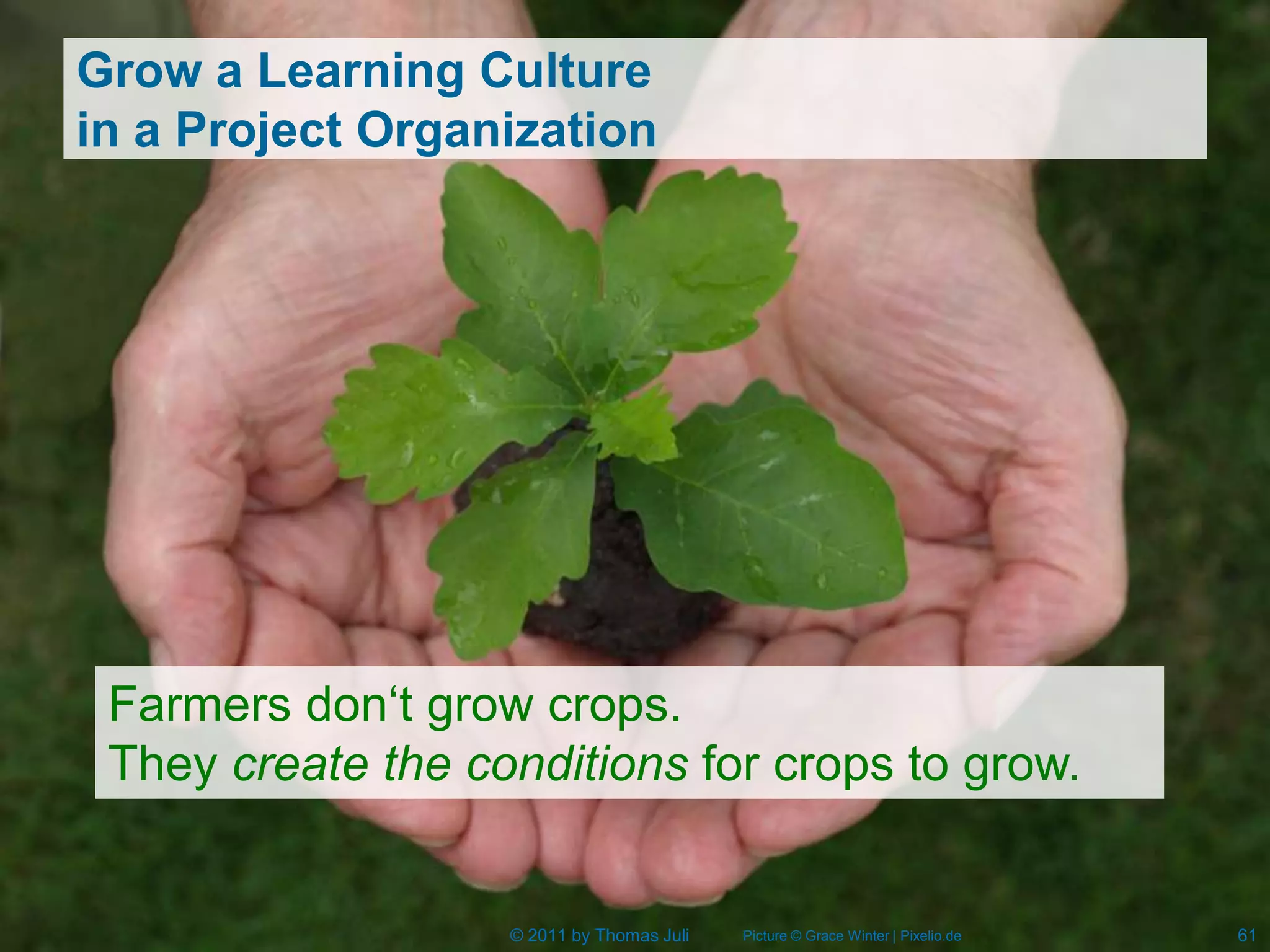 Grow a Learning Culture
in a Project Organization




 Farmers don‘t grow crops.
 They create the conditions for crops to grow.


                   © 2011 by Thomas Juli   Picture © Grace Winter | Pixelio.de   61
 