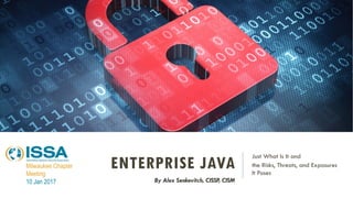 ENTERPRISE JAVA
Just What Is It and
the Risks, Threats, and Exposures
It Poses
By Alex Senkevitch, CISSP, CISM
Milwaukee Chapter
Meeting
10 Jan 2017
 