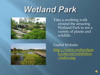 Wetland ParkTake a soothing walk around the amazing Wetland Park to see a variety of plants and wildlife.Useful Website:http://www.wetlandpark.com/en/exhibition/index.asp 