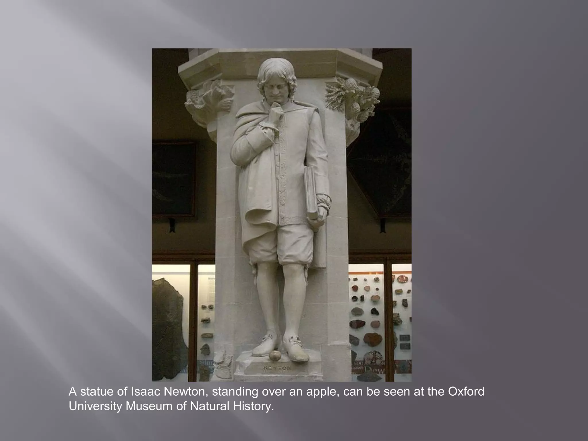 A statue of Isaac Newton, standing over an apple, can be seen at the Oxford 
University Museum of Natural History. 
 