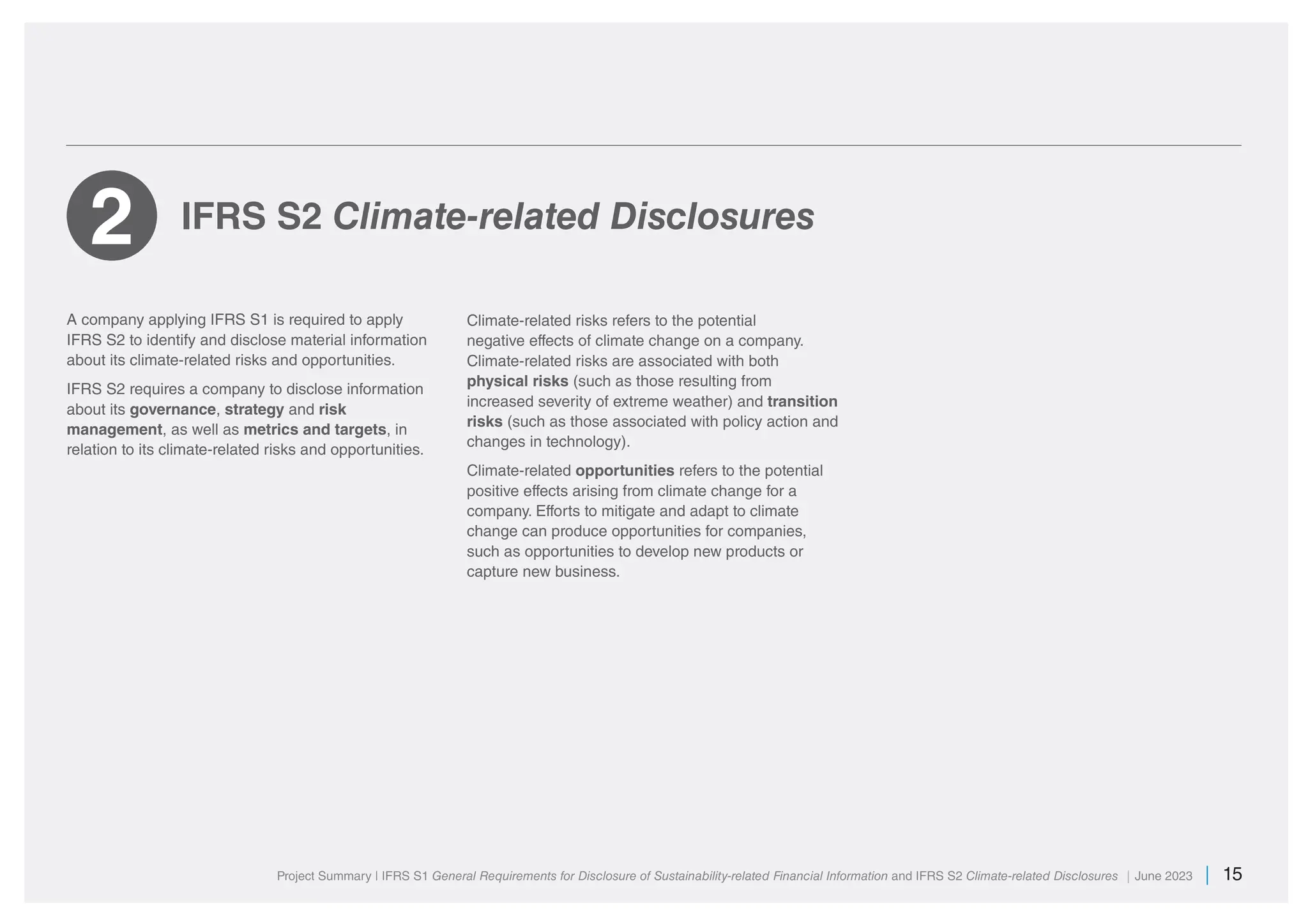 International Sustainability Standards Board | PDF